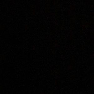 Meet your Posher, Leo